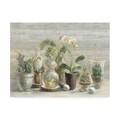 Trademark Fine Art Danhui Nai 'Greenhouse Orchids On Wood' Canvas Art, 18x24 WAP10734-C1824GG